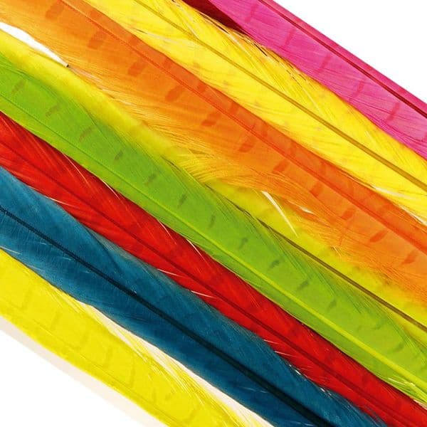 Veniard Cock Pheasant Centre Tail Feathers Bleached & Dyed