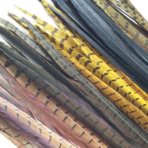 Veniard Cock Pheasant Centre Tail Feathers