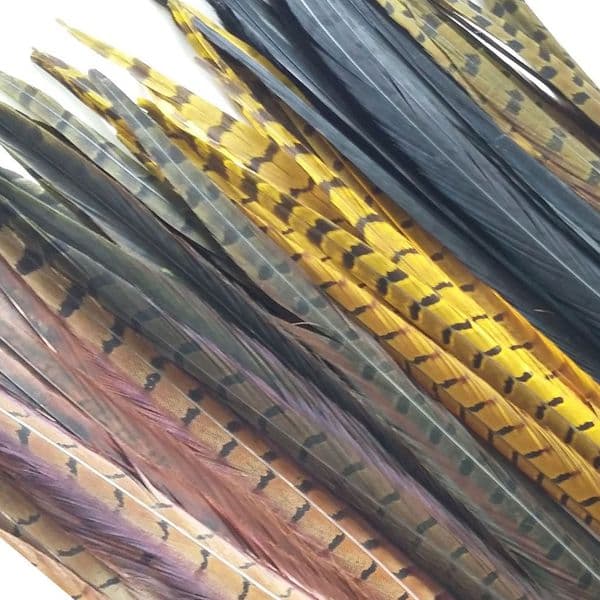 Veniard Cock Pheasant Centre Tail Feathers