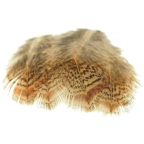 Veniard English Partridge Brown Back