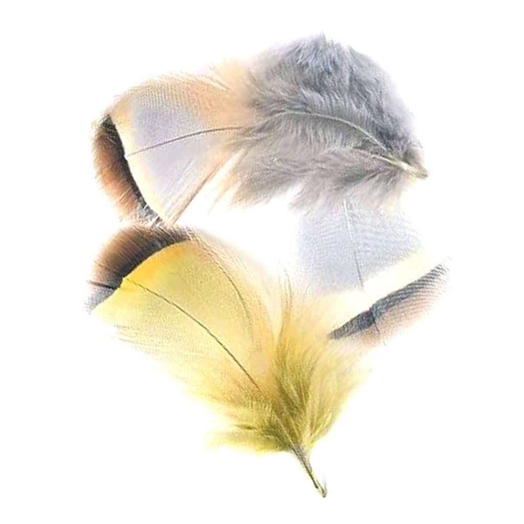 Piume di Pernice Inglese - The Fly Store