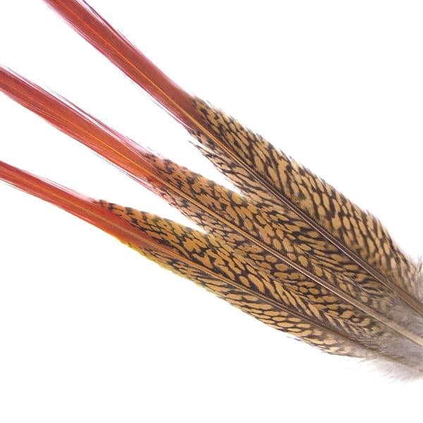 Veniard Golden Pheasant Red Spears