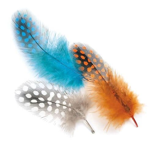 Veniard Guinea Fowl Plumage Hackles