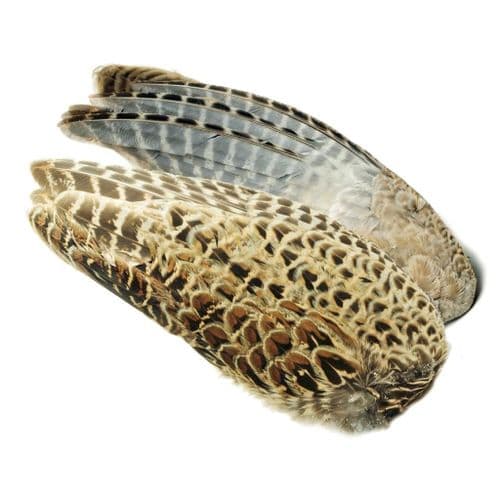 Veniard Hen Pheasant Wings