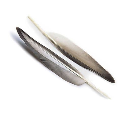 Veniard Mallard Duck Wing Quills Natural Grey