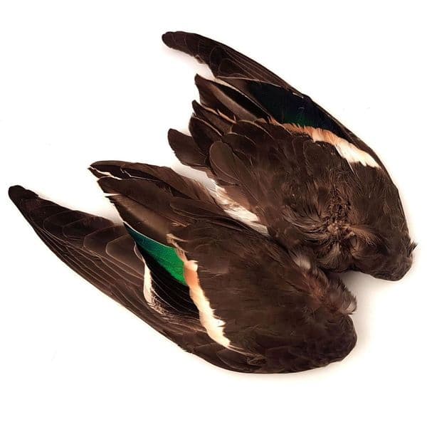 Veniard Teal Duck Wings Paired