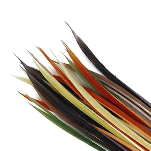 Veniard Turkey Biots