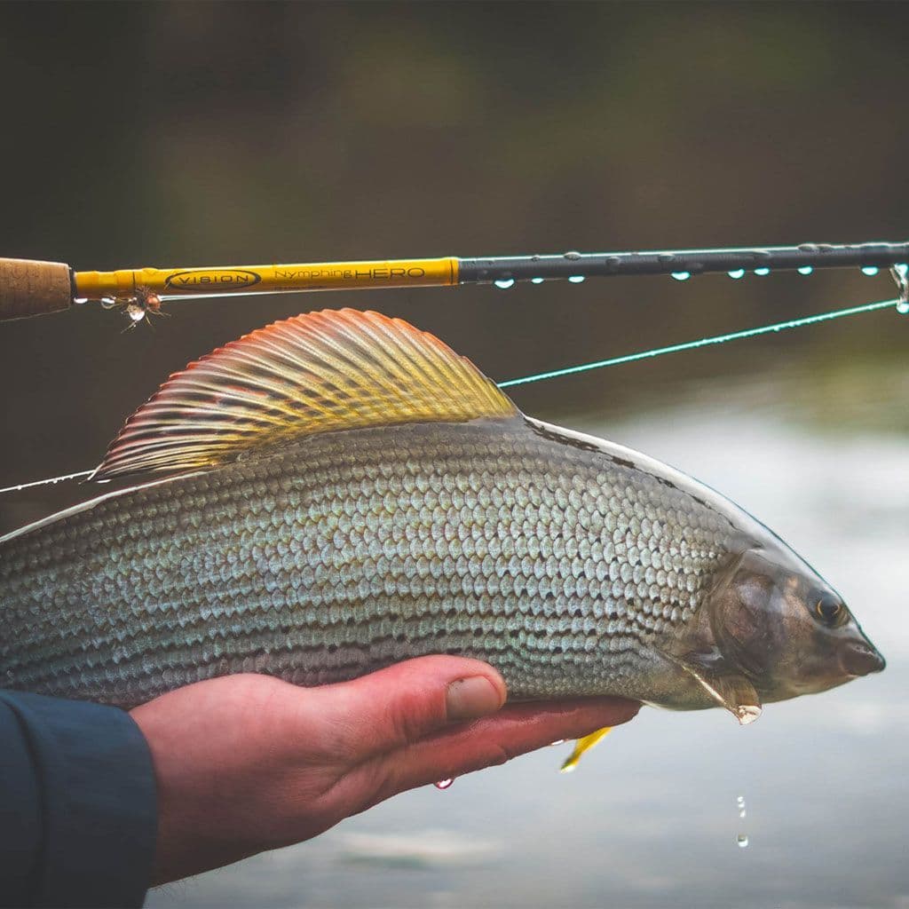 Vision Hero Nymphing Fly Rod