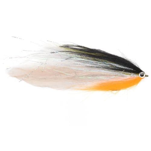 Vision Pike Fly Roach