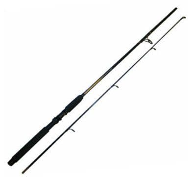 6ft Spinning Rod (2 Sections) 5-25g