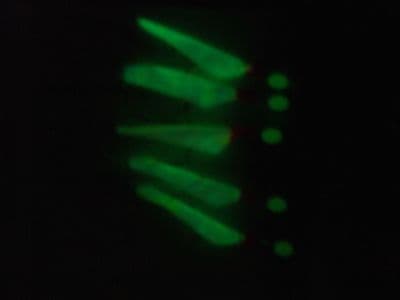 FFT LUMO GLOW FISH SKIN RIG 5 x 4 HOOK LURE MACKEREL HERRING PIER SEA FISHING