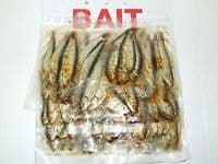 PRESERVED SEA PIKE BAIT SQUID WHITE BAIT RAGWORM LUG SANDEEL MACKEREL SEA FISHIN