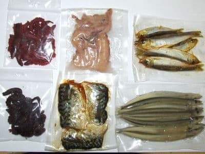 PRESERVED SEA PIKE BAIT SQUID WHITE BAIT RAGWORM LUG SANDEEL MACKEREL SEA FISHIN