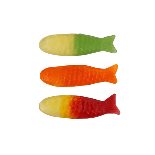 YUMMY GUMMY BIG FISH TUB
