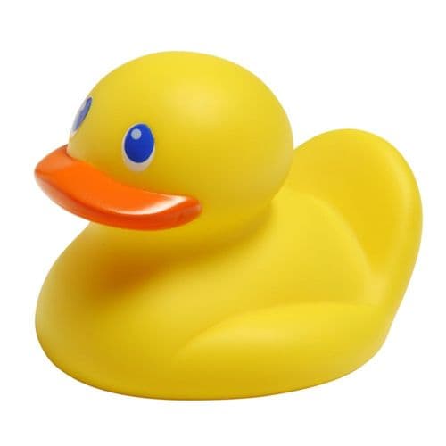 Safety 1st Tempguard Duck