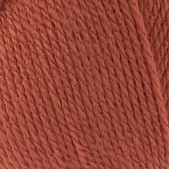 RO10 100g Robin DK 131 Cinnamon