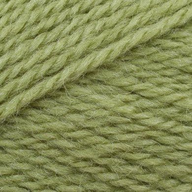 SC70 Life DK  2311 Fern