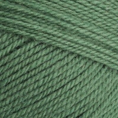 Special  Aran With Wool 3980 Succulent