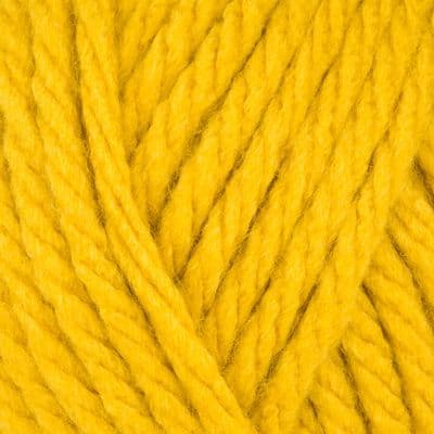 Special XL Super Chunky 1823 Mustard 5 x 200g