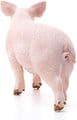 Schleich Farm World Pig