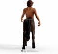 Schleich Harry Potter Firenze Figure