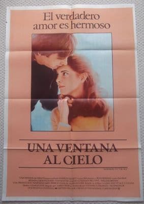 Window to the Sky, Original Argentinian Movie Poster, Beau Bridges, '75