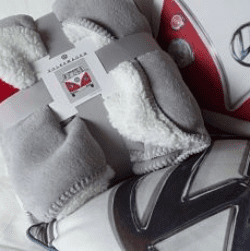 VW T1 blanket