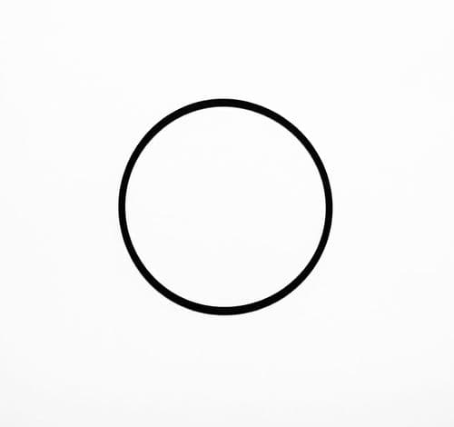 Carburettor Bowl O Ring Seal, Tecumseh, Tecnamotor Engine Part 29630076