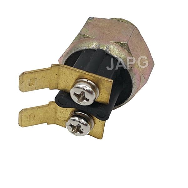 Gearbox Neutral Switch, Castel Garden  XT160 HD, XT170 HD, XT190HD, XT200HD Mower 119410608/1