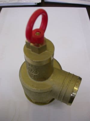 2" MZ Pressure Relief Valve, with Side Branch