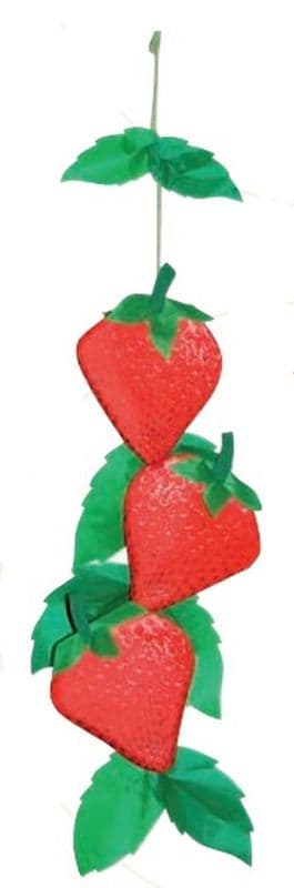 3D Strawberries Windsock