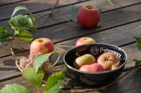 Petromax Black Enamel Camping Bowls - Pack of 2