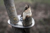 Petromax Cooking Tripod Lashing Set