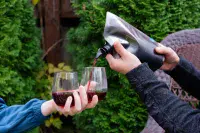 Vapur Wandervino Portable  Wine Carrier + 2 Glasses