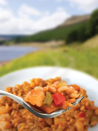 Wayfayrer Foods - Vegetable Curry with Rice