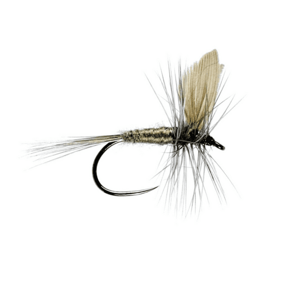 Blue Dun Trout Dry Fly