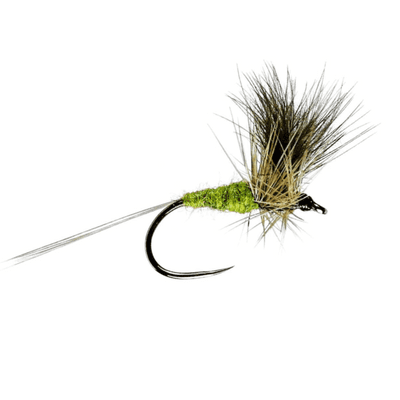 Blue Winged Olive CDC