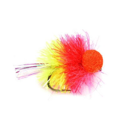 Cocktail Coral Booby