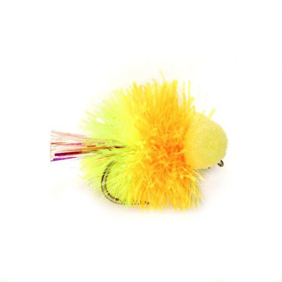 Cocktail Sunburst Booby