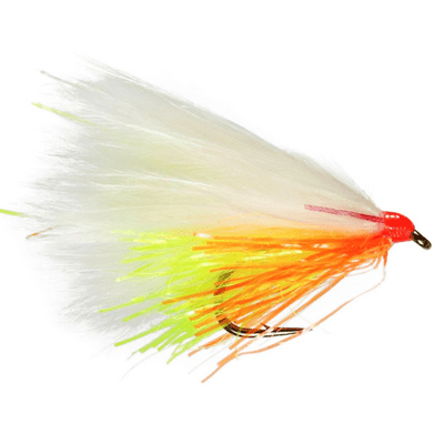 Cut Throat White Cat