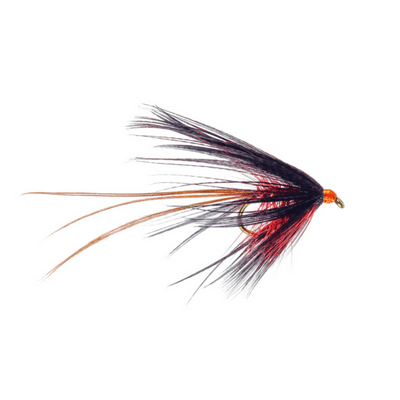 Dabblers & Mayflies