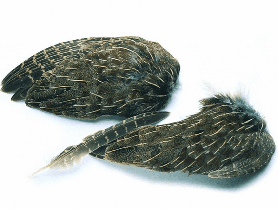 Veniard English Partridge Wings