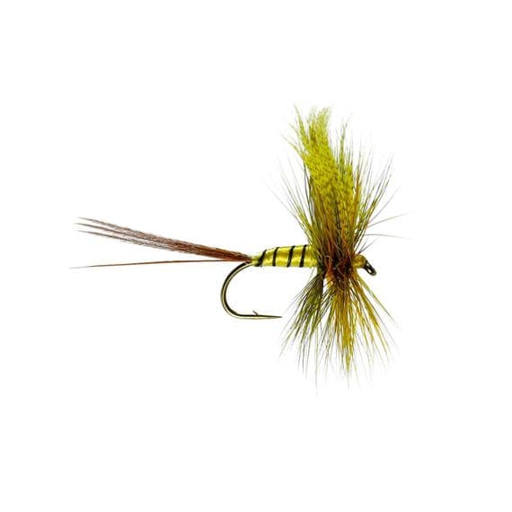 Erne Special Mayfly Trout Fly