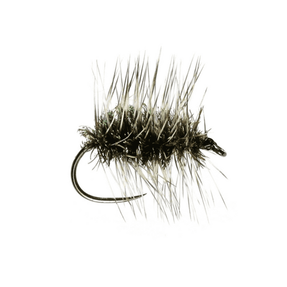 Griffiths Gnat Trout Dry Fly