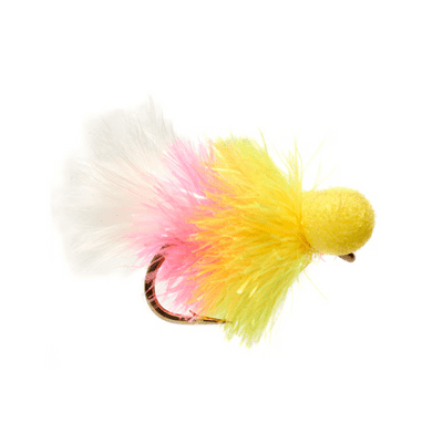 Ham & Cheese Blob Booby