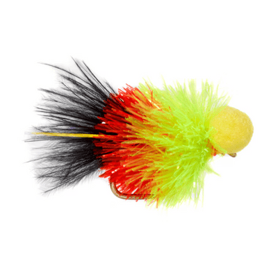 Jenkin's Fenton Comp Booby