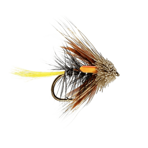 Kate Maclaren Muddler Trout Fly