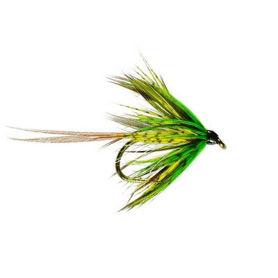 Lough Arrow Olive Mayfly