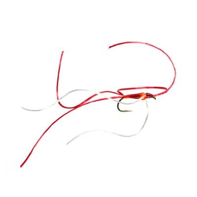 Mal's Hotspot Blood Worm