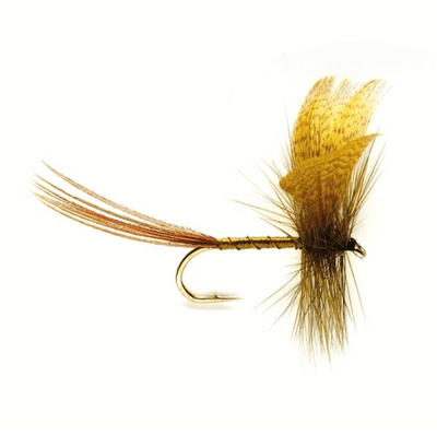 Mayfly Green Drake